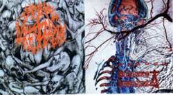 Carnal Diafragma : Carnal Diafragma - Bizarre Embalming